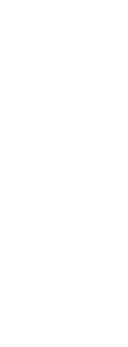 コースの〆に